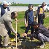 کاشت 3500  اصله نهال با همت و تلاش کارگزاران خدمات زیارتی استان گلستان 